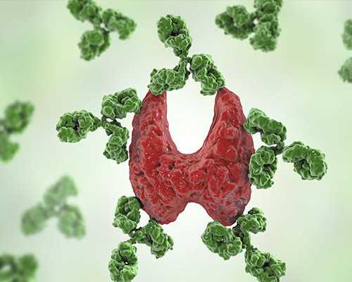  国内供卵排队等多久,淤血会化脓吗(宝宝湿疹怎么护理)